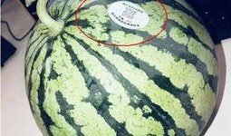 徐州丰县网红吃瓜,揭秘背后真相与网络舆论风暴